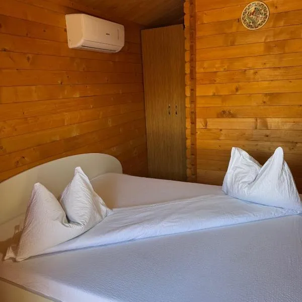 Casute Enea Baile Figa cu Aer condiționat, hotel a Agrişu de Sus
