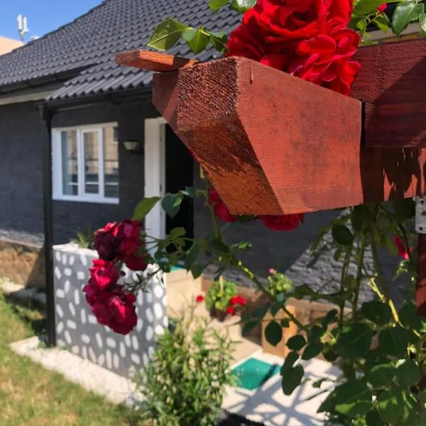 Ulita, hotel in Bumbeşti-Jiu
