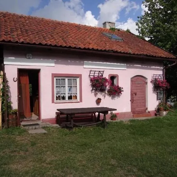 Agroturystyka Oczko, hotel di Ogonki
