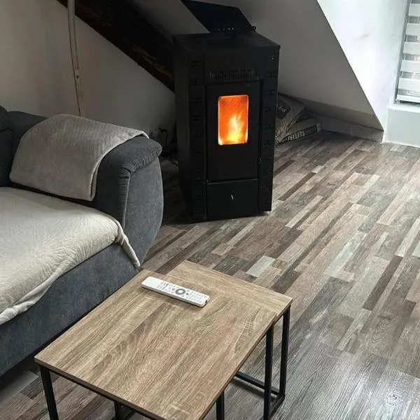 Appartement 3 chambres, hotel em Faverges