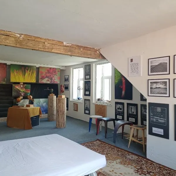 Ubytování v galerii, hotel v destinaci Zlatá Olešnice