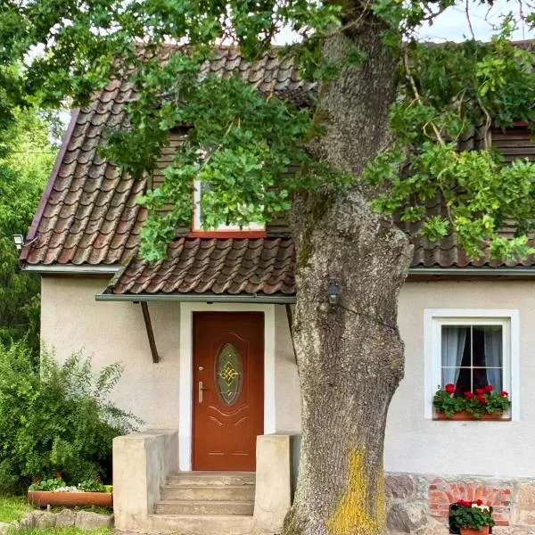 Willa Pod Dębem, hotell sihtkohas Koczarki