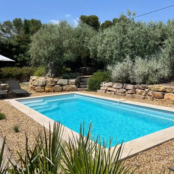 La Villa Aux Oliviers, Hotel in Flayosc