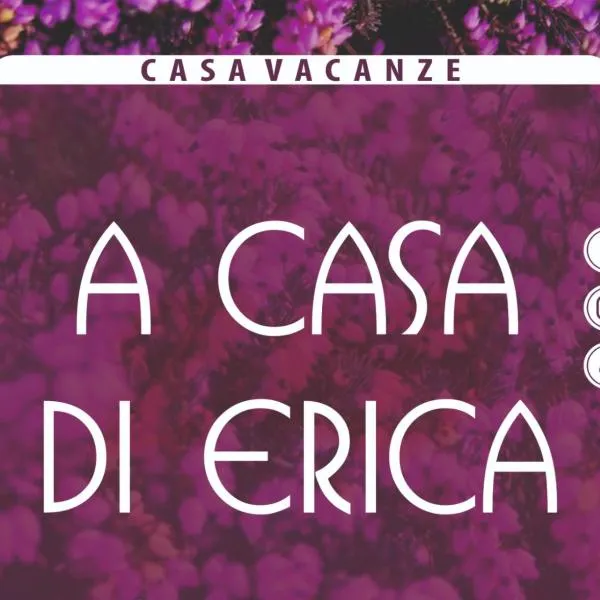 A casa di Erica, Hotel in Mascali