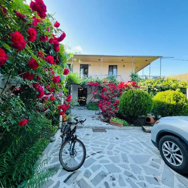 Guesthouse Mtkvari, hotel v destinaci Nak'alak'evi