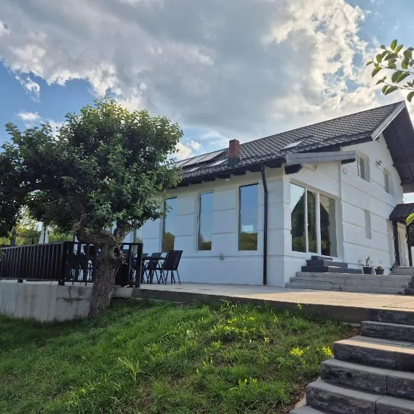 Casa Adam B, hotel v destinaci Gara Ilişeşti