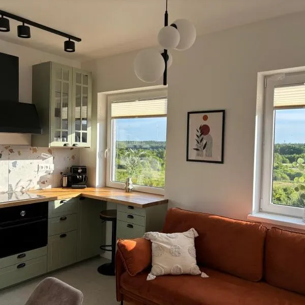 Dębina Lounge z tarasem na dachu, ξενοδοχείο σε Debina