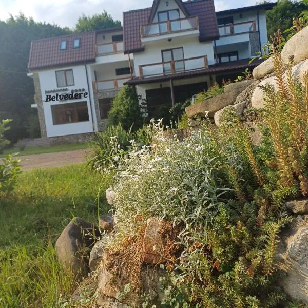 Belvedere Gresu - ex Dalia, hotel in Lepşa