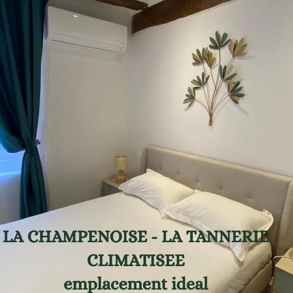 La Champenoise La Tannerie, hôtel à Troyes