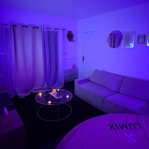 Love room, hotel in Le Blanc-Mesnil
