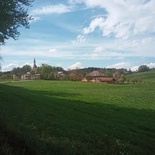 Burg 2 - Ferienwohnungen – hotel w mieście Taching am See