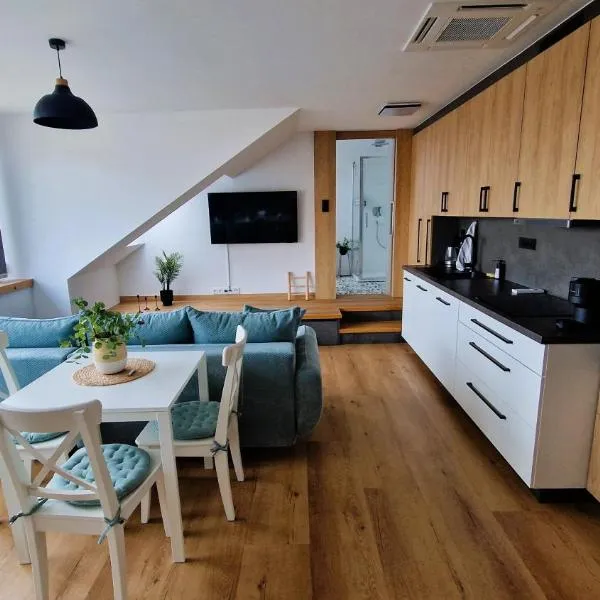 Studio Pasáž, hotel v destinaci Pardubice