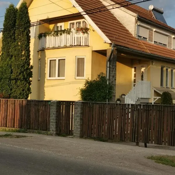 Sólyom Katalin vendégház, hotel in Suseni