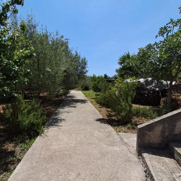 Renting rooms, hotel v destinaci Himare