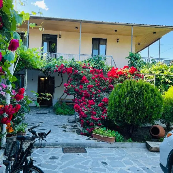 Guesthouse Mtkvari, hotel a Nak'alak'evi