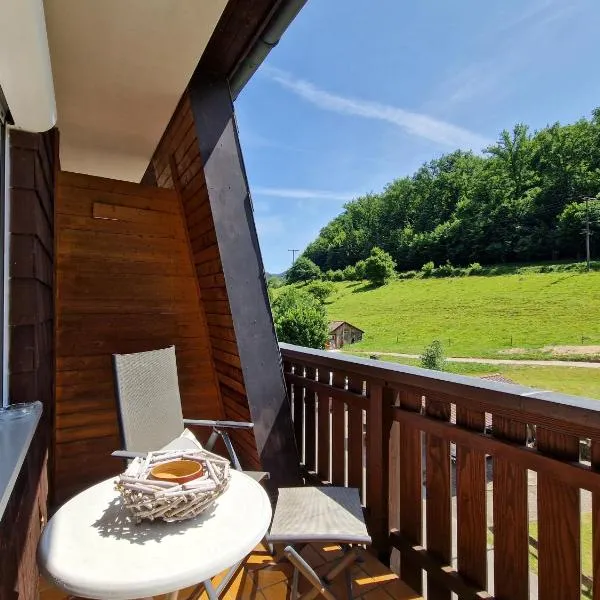 Waldquelle Vital Gästehaus, Hotel in Eberbach
