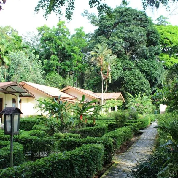 Ecolodge Bukit Lawang - Hotel&JungleTREK, hotel a Bukit Lawang