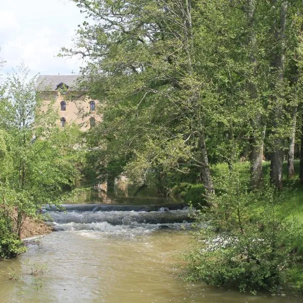 Le Moulin Chevillon, hotel in Cercy-la-Tour