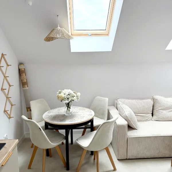 Apartament Szyszka 2, hotel in Rogowo