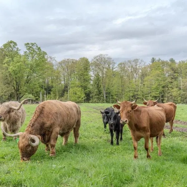 Cozy Heritage Suite for Two - With Highland Cattle โรงแรมในLoudon