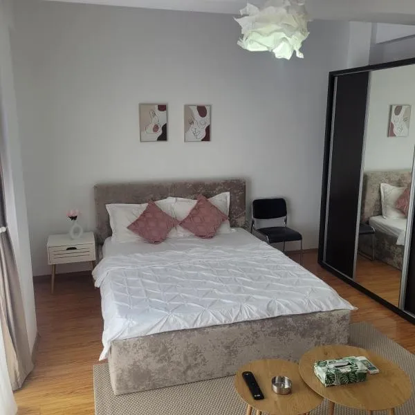 Garsoniera Spital Fundeni-Dragonul Rosu, hotel v destinaci Dobroeşti