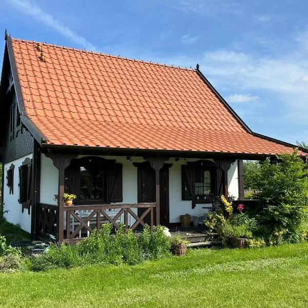 Domek całoroczny na Kaszubach "Kołowrót", hotel v mestu Dziemiany