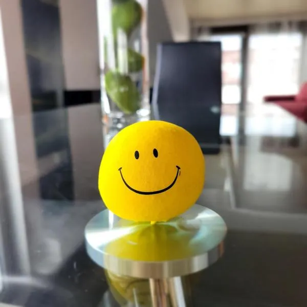 Helle gemütliche DG Wohnung, 88qm, klimatisiert, hotel em Philippsburg