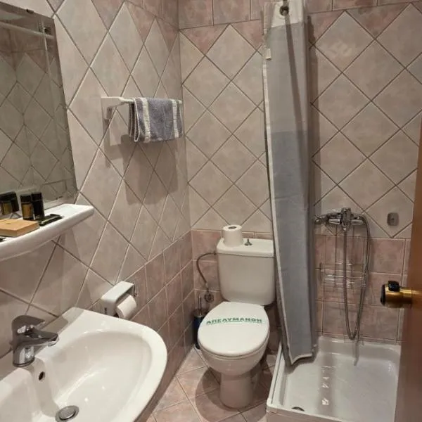 Acropole Delphi City Hotel, hotel v mestu Delfoi