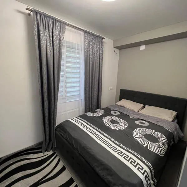 1-Edinet apartament Квартира Единец, hotell i Edineţ