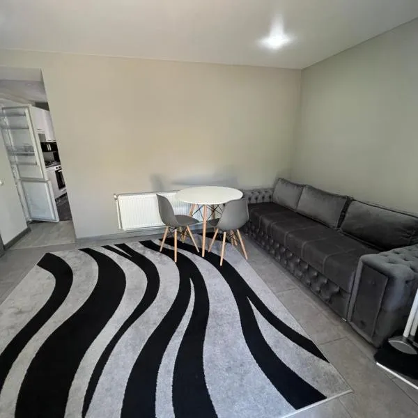 1-Edinet apartament Квартира Единец, готель у місті Edineţ