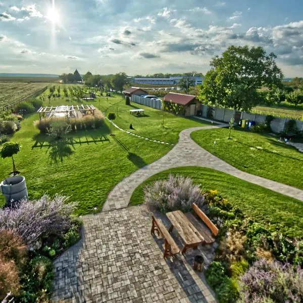 U Jeřába - komplex C, hotel in Horní Věstonice