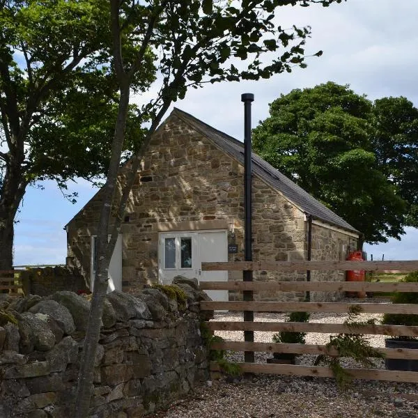 Sycamore Cottage, hotel v destinaci Consett