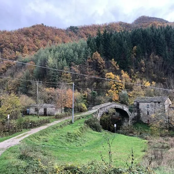 Appartamento Ponte Nuovo Premilcuore, khách sạn ở Premilcuore