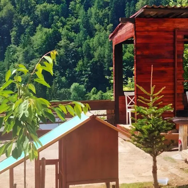 Doi Iepuri, hotel ad Azuga