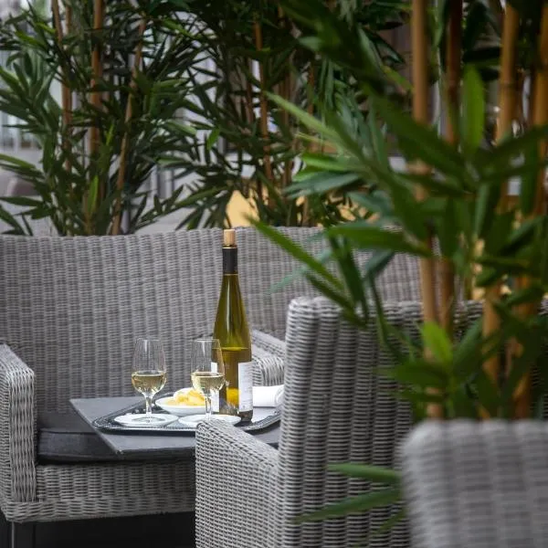 Hôtel Paradis, hotel v Lurdách