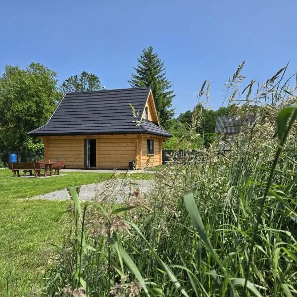 Wilkowiana, hôtel à Wilkowice