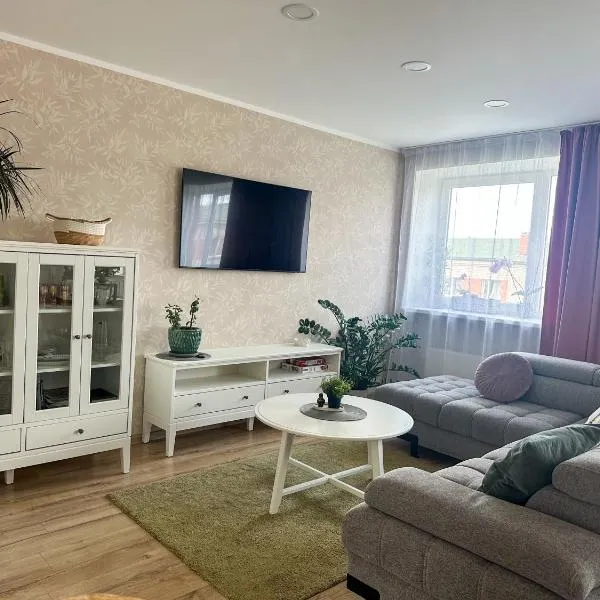 Middle street apartment, hotel in Alūksne