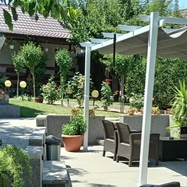 Casa Chitu, hotel v destinaci Murighiol
