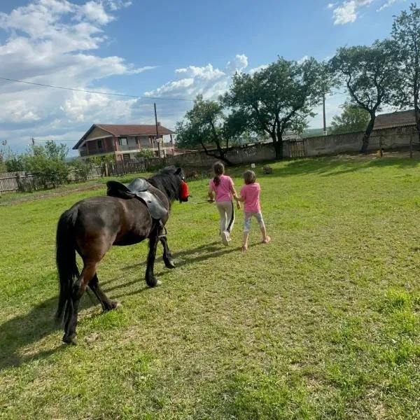 Ruralni kutak na padini Tumanskog Crnog vrha, hotel v destinaci Kučevo