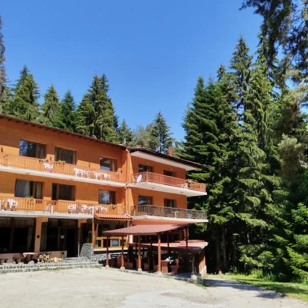 Ski Hotel Katerina, hotel Banszkóban