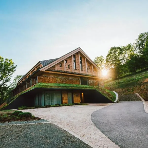 Labská 20 - apartmánový dům, hotel v destinaci Špindlerův Mlýn