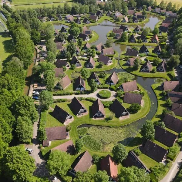 Vakantiepark 't Hooge Holt, hotel in Gramsbergen