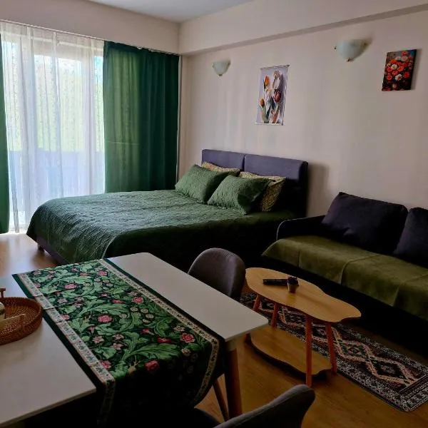 Apartment Spartak, hotel em Gudauri
