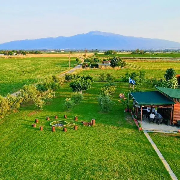 Avra Wooden House, hotel en Drama