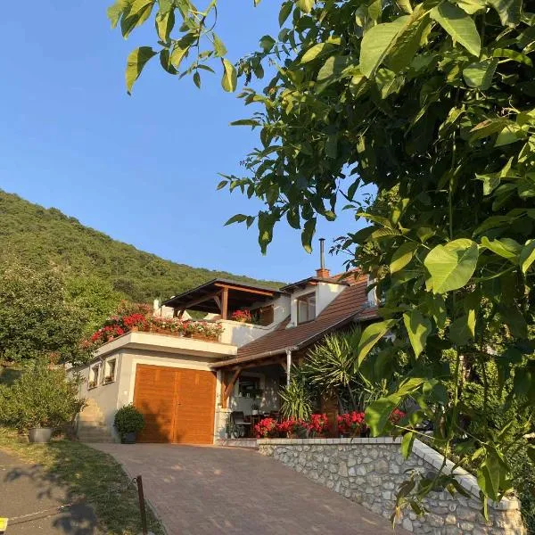 Sárkányhegyi Apartman, hotel v destinaci Balatonederics
