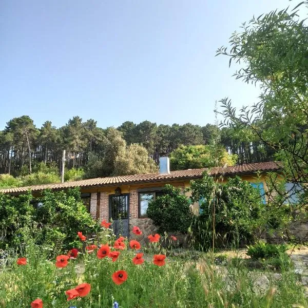 Casa Rural Las Gesillas, hotel in Arenas de San Pedro