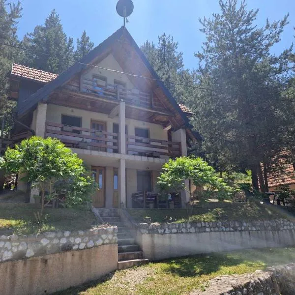 Vila Borovi, hotel u gradu Zaovine