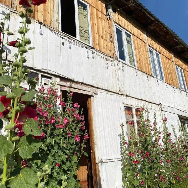 erekle guest house, hotel in Mestia
