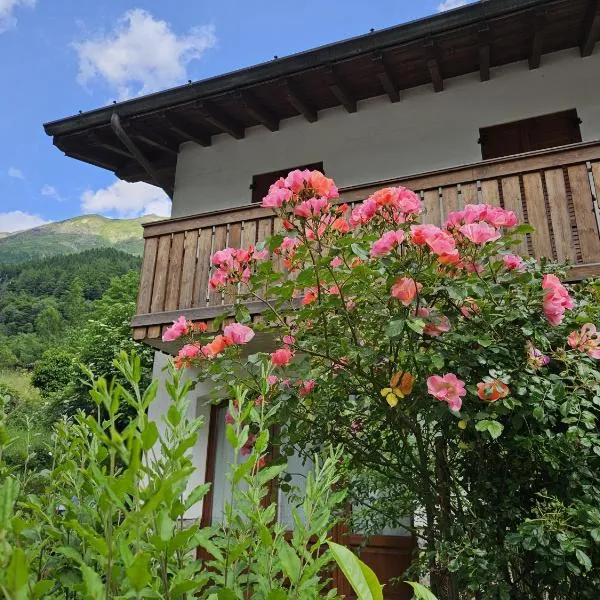 Stella Alpina, hotel in Lizzola Alta