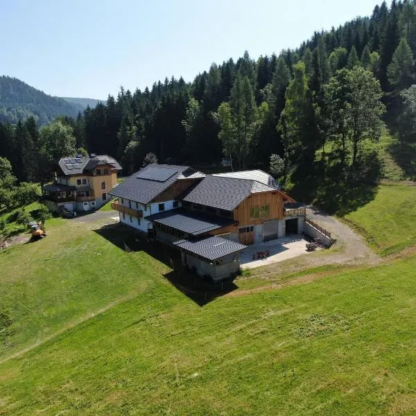 Ferienwohnung Steinacherhof, hotel sa Arriach